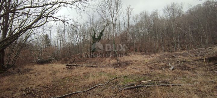 Land for sale 5000 m² – Klana