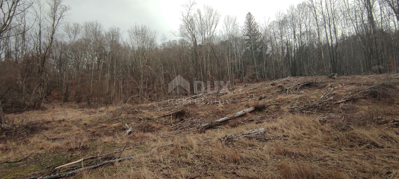 Land For sale - Primorsko-goranska Klana - foto 2/5