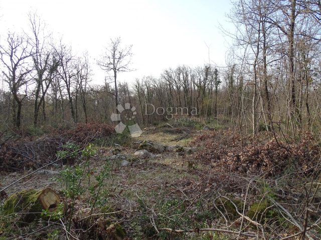 Terreno in vendita 10000 m² – Matulji
