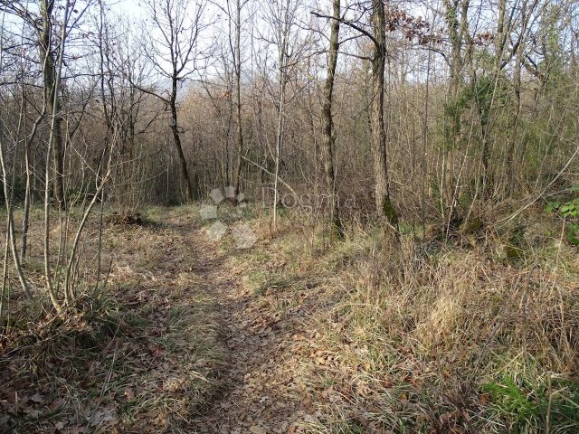 Parcela Naprodaj - Primorsko-goranska Matulji - foto 3/10