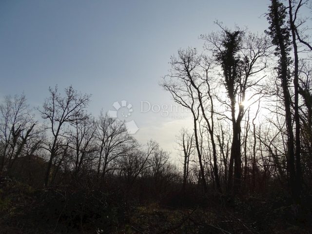 Parcela Naprodaj - Primorsko-goranska Matulji - foto 4/10