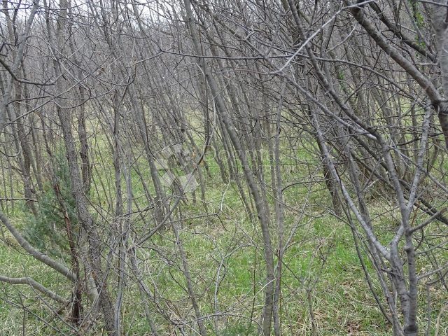 Terreno In vendita - Primorsko-goranska Kostrena - foto 4/8