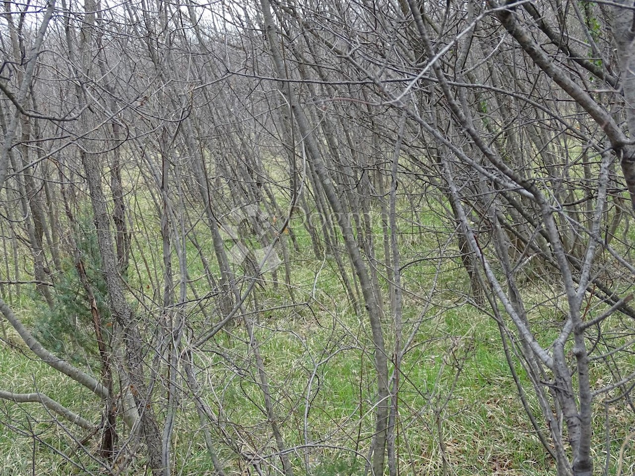 Terreno In vendita - PRIMORSKO-GORANSKA  KOSTRENA 