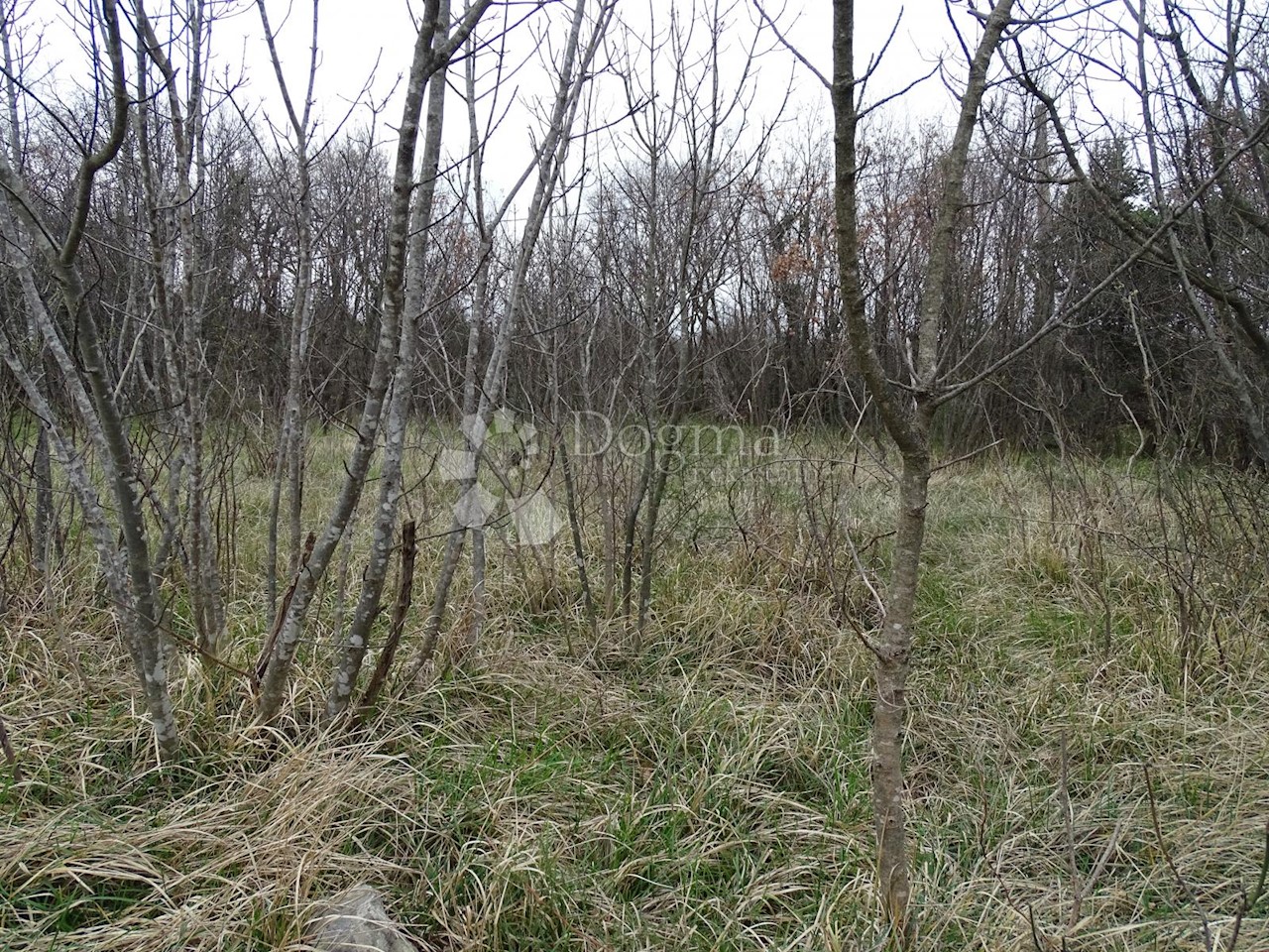 Terreno In vendita - PRIMORSKO-GORANSKA  KOSTRENA 