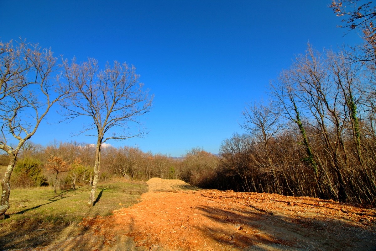 Terreno In vendita SOLINE