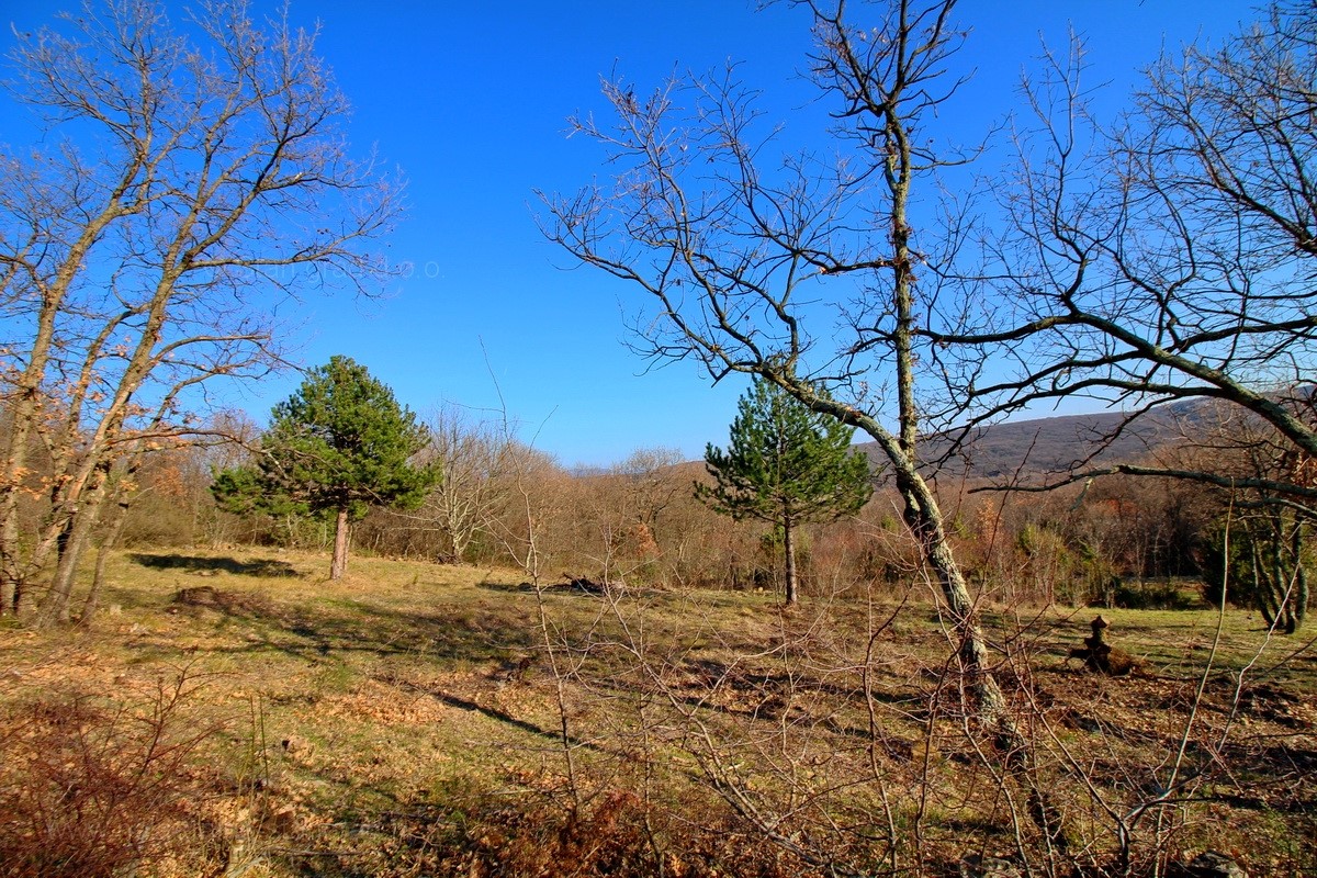 Land For sale - PRIMORSKO-GORANSKA  KRK 