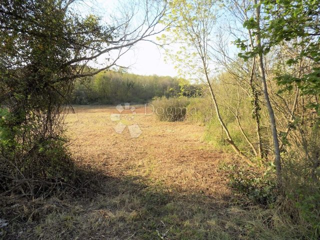 Pozemek na prodej 18934 m² – Kloštar