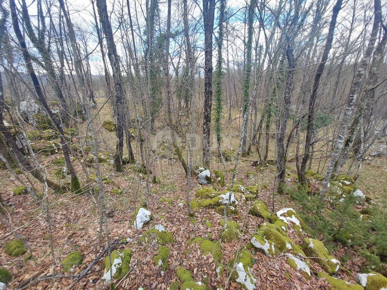 Parcela Naprodaj - PRIMORSKO-GORANSKA  Matulji