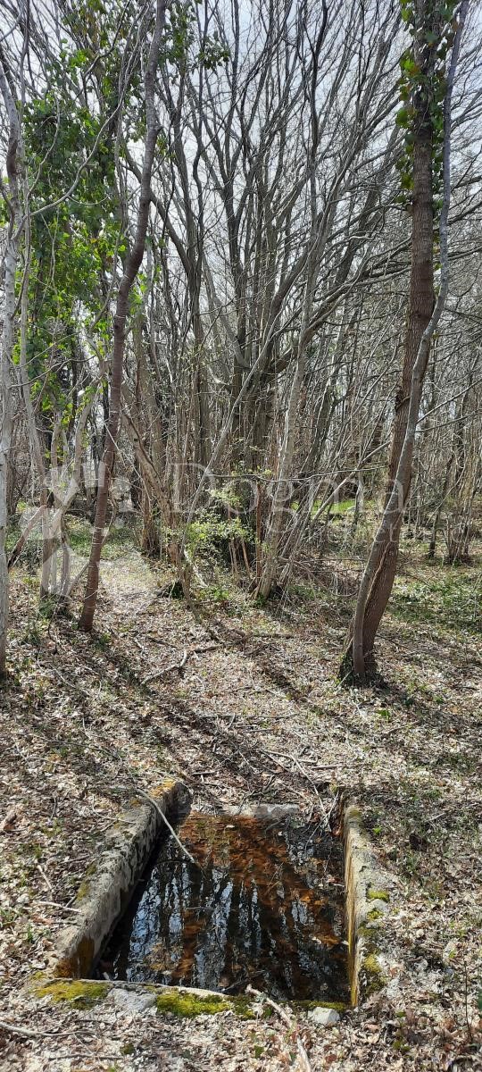 Land For sale - ISTARSKA  BARBAN 