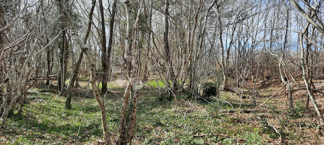 Land For sale - ISTARSKA  BARBAN 