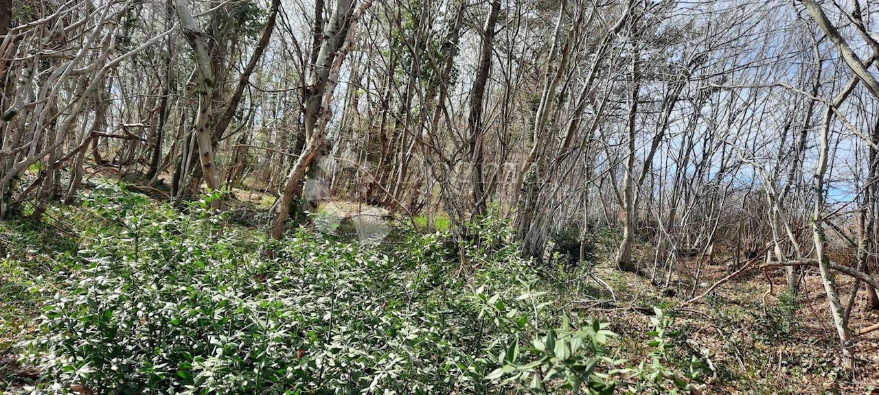 Land For sale - ISTARSKA  BARBAN 