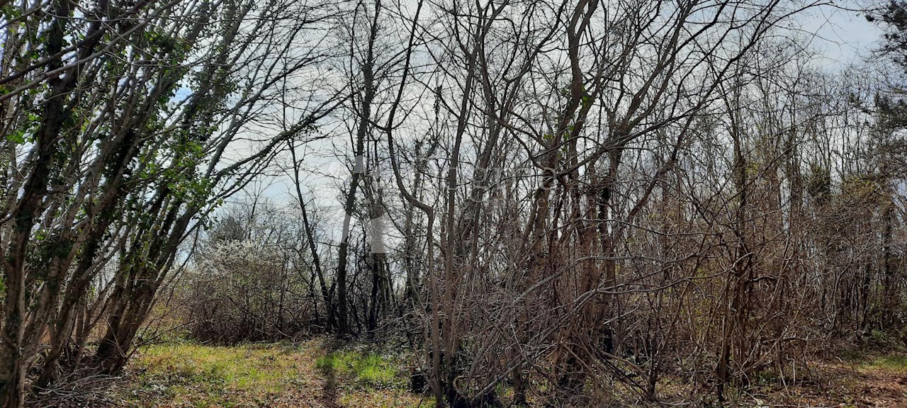Land For sale - ISTARSKA  BARBAN 