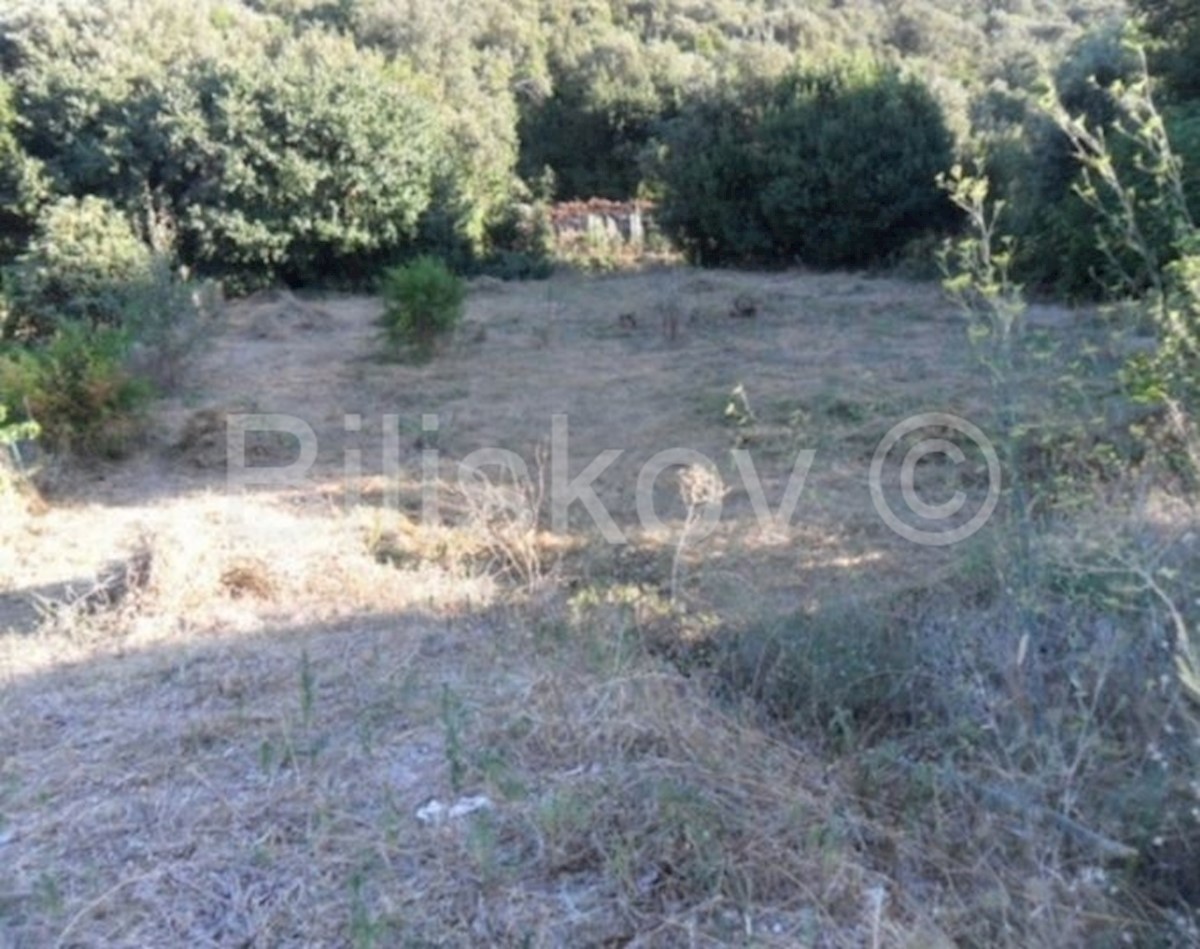 Terrain À vendre - DUBROVAČKO-NERETVANSKA  JANJINA 