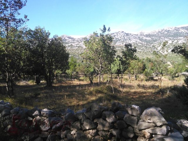 Terreno In vendita - Zadarska Starigrad - foto 5/9