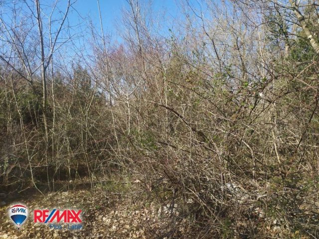 Grundstück zu verkaufen 11980 m² – Rakalj