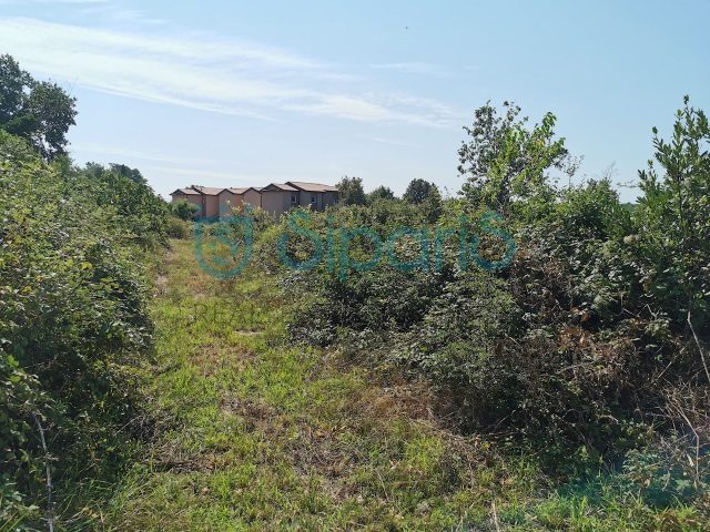 Terreno In vendita - Istarska Brtonigla - foto 3/7