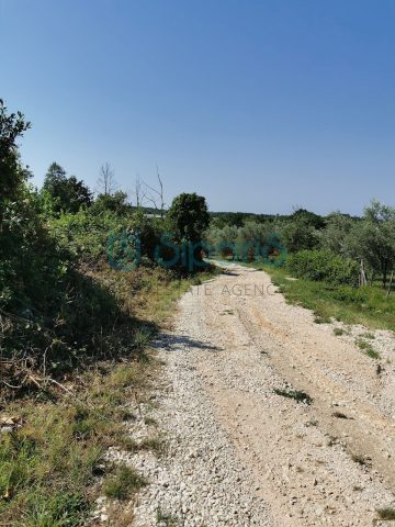 Terreno In vendita - Istarska Brtonigla - foto 5/7