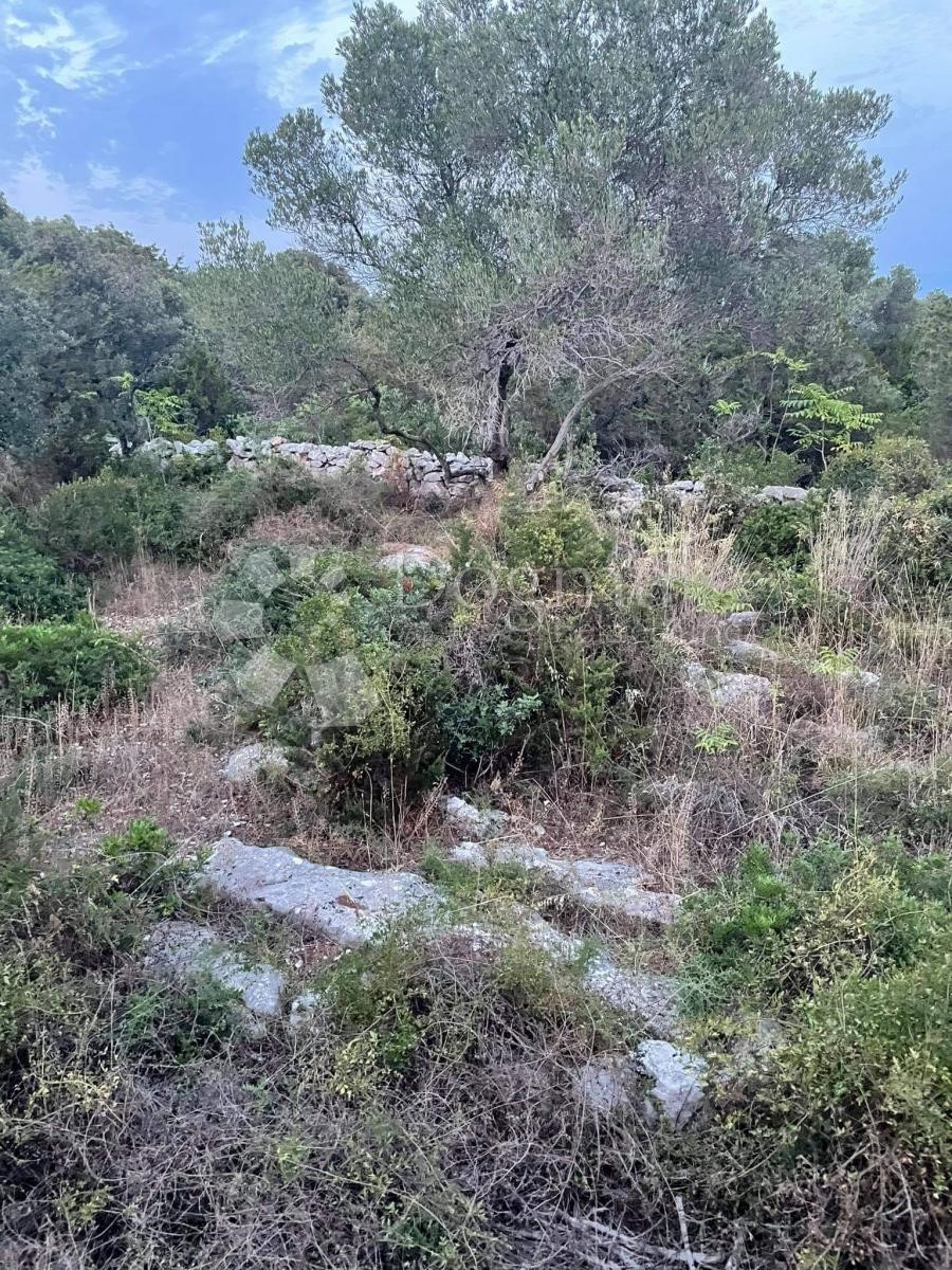 Land For sale - ZADARSKA  ZADAR 