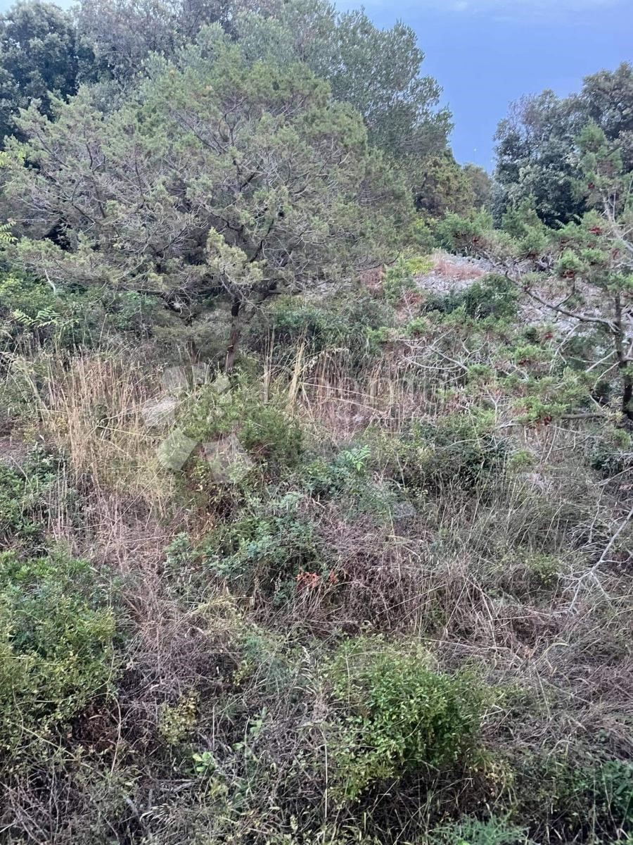 Land For sale - ZADARSKA  Zadar