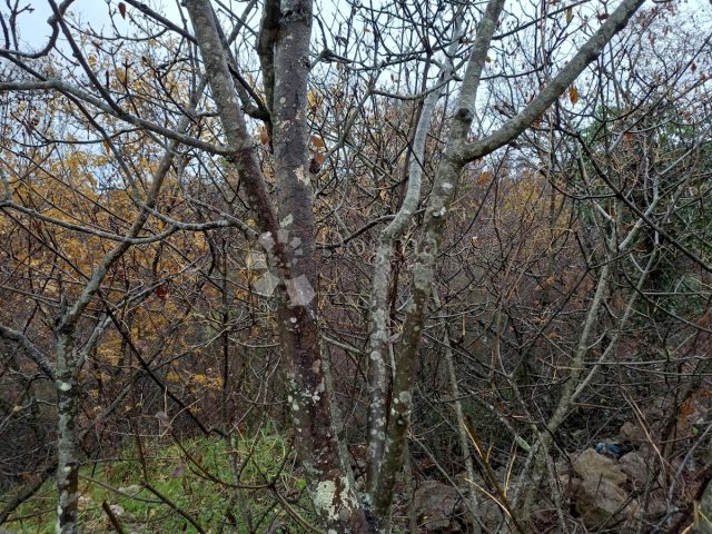 Terreno In vendita - Primorsko-goranska Krk - foto 5/7