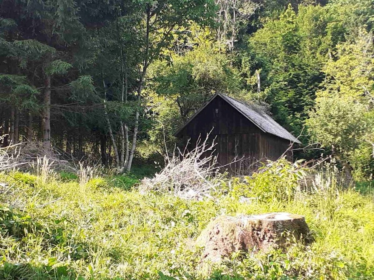 Dům Na prodej - PRIMORSKO-GORANSKA  DELNICE 