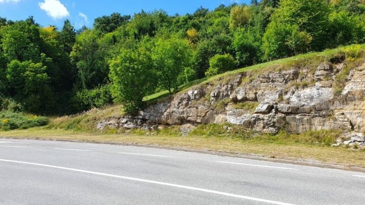 Parcela Naprodaj - Primorsko-goranska Vrbovsko - foto 2/3