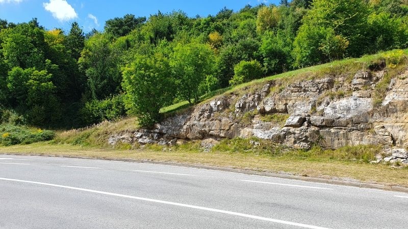 Terreno In vendita - PRIMORSKO-GORANSKA  VRBOVSKO 