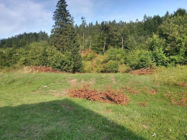 Terrain à vendre 15542 m² – Delnice
