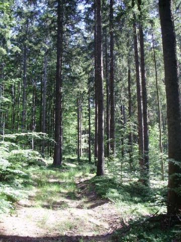 Terreno in vendita 11011 m² – Ravna Gora