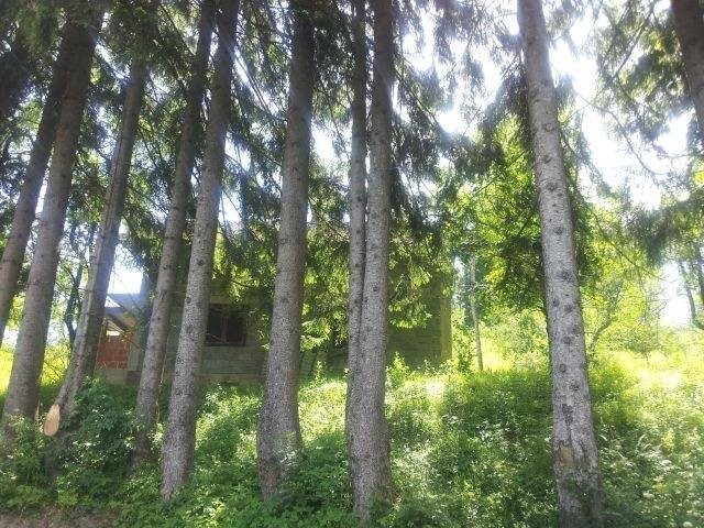 Haus Zu verkaufen - Primorsko-goranska Ravna Gora - foto 4/16
