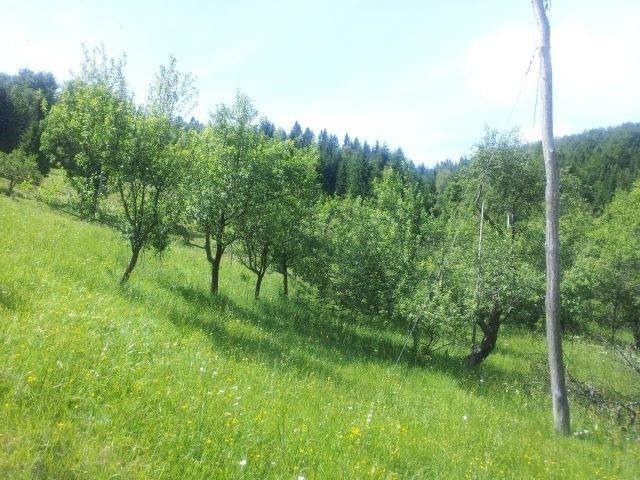 Haus Zu verkaufen - Primorsko-goranska Ravna Gora - foto 5/16