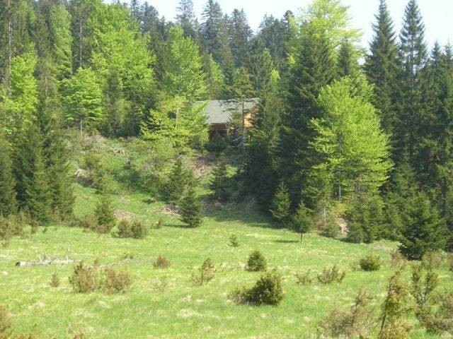 Hiša Naprodaj - PRIMORSKO-GORANSKA  Ravna Gora