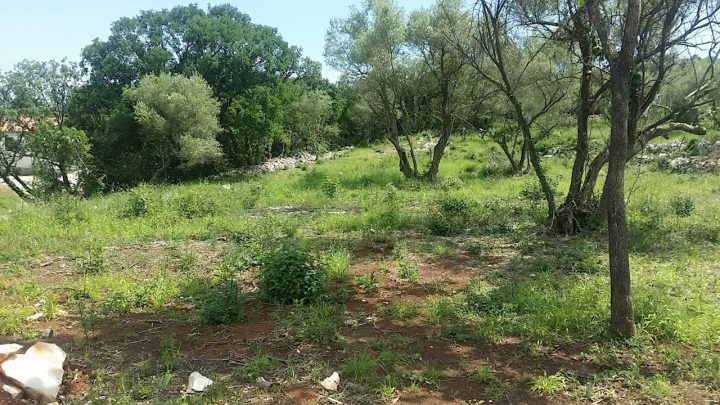 Zemljište Na prodaju - Istarska Raša - foto 4/5