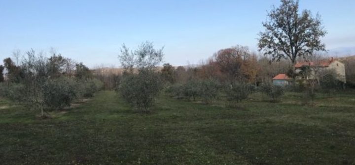 Haus Zu verkaufen - Istarska Labin - foto 3/5