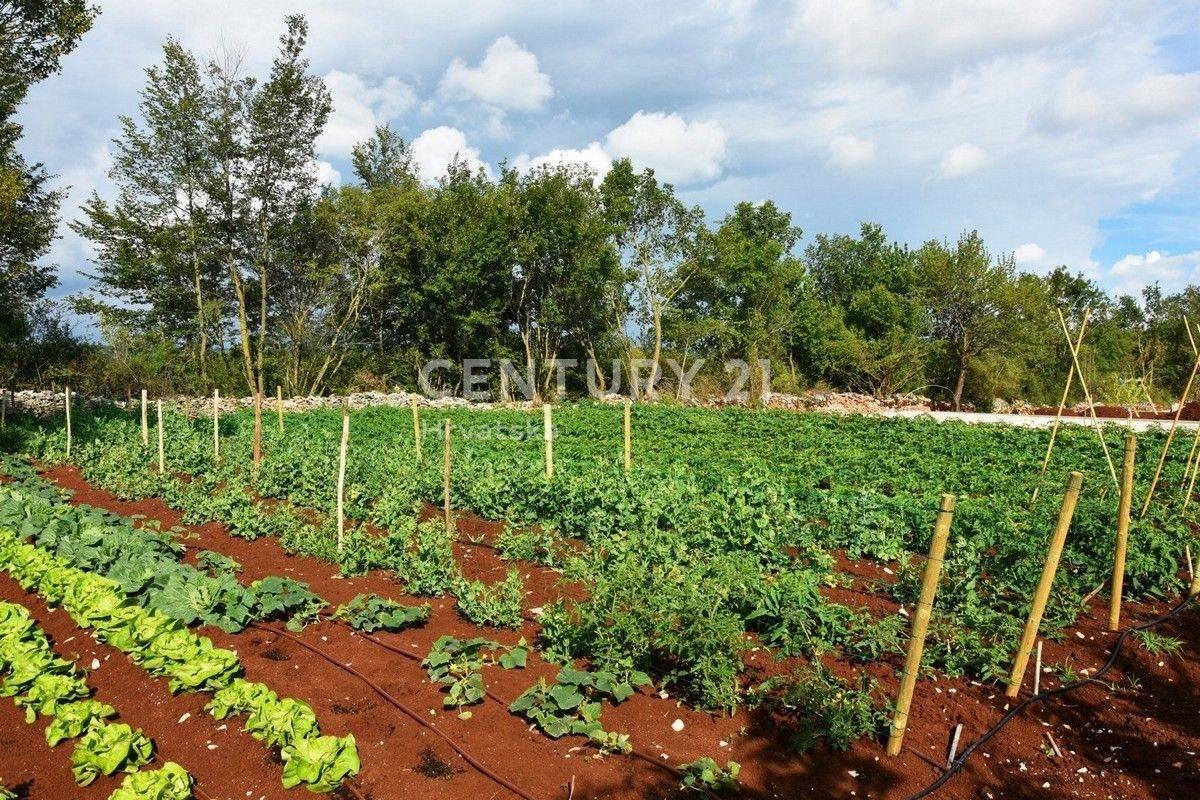 Kuća Na prodaju - ISTARSKA  KANFANAR 