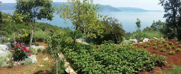 Maison À vendre - Istarska Kršan - foto 5/29