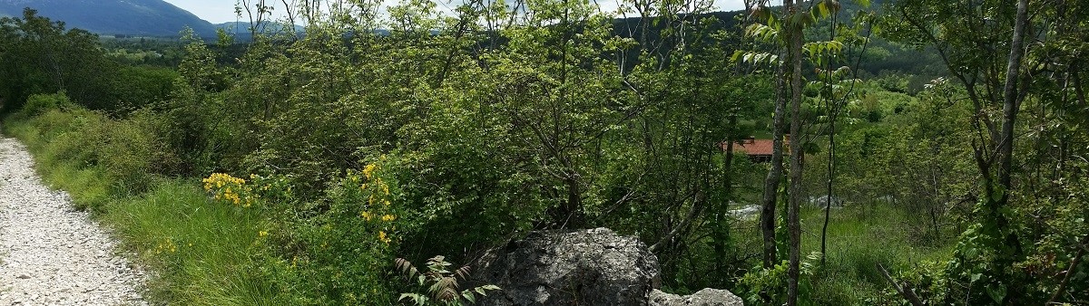 Terreno In vendita - ISTARSKA  KRŠAN 