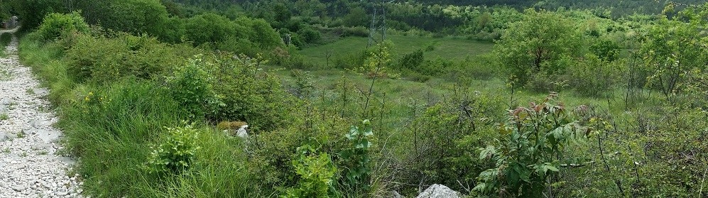 Terreno In vendita - ISTARSKA  KRŠAN 