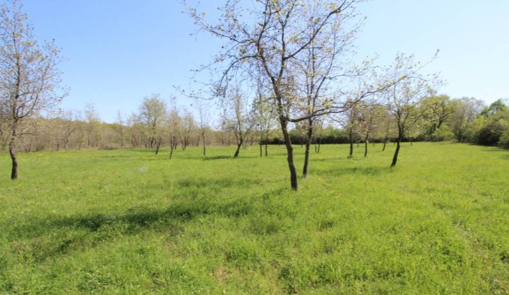 Land For sale - Istarska Poreč - foto 2/2