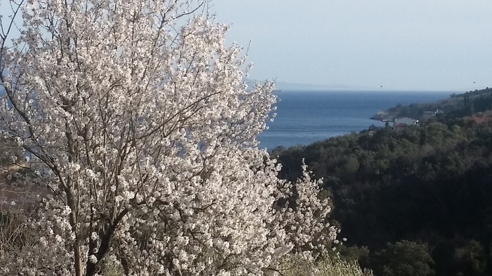 Pozemek Na prodej - ISTARSKA  RAŠA 