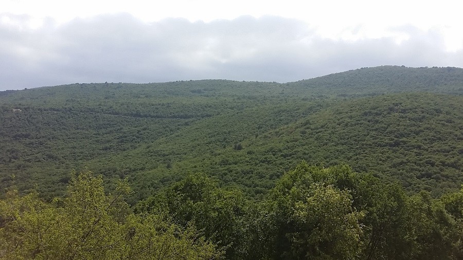 Dom Na predaj - ISTARSKA  LABIN 