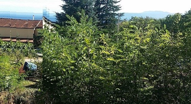 Land for sale 900 m² – Ika