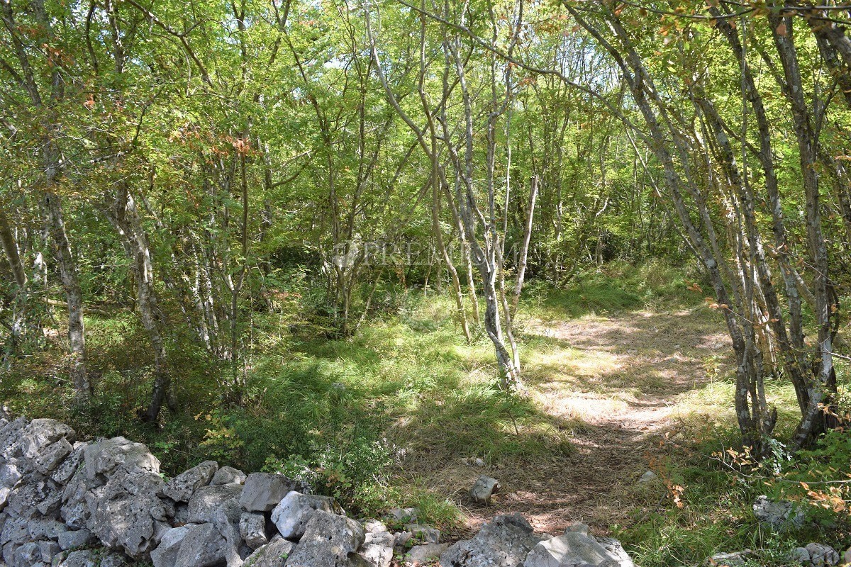 Land For sale - PRIMORSKO-GORANSKA  KRK 