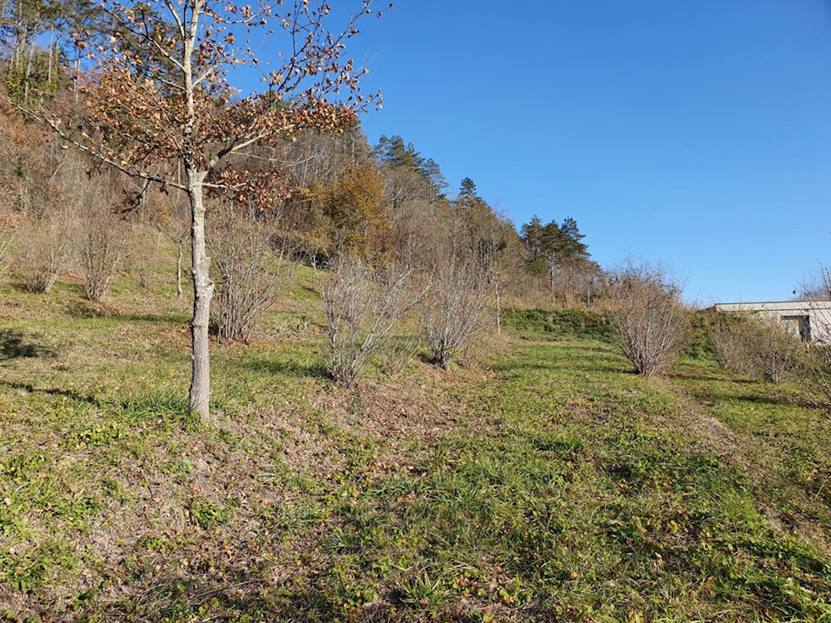 Pozemok Na predaj - ISTARSKA  OPRTALJ 