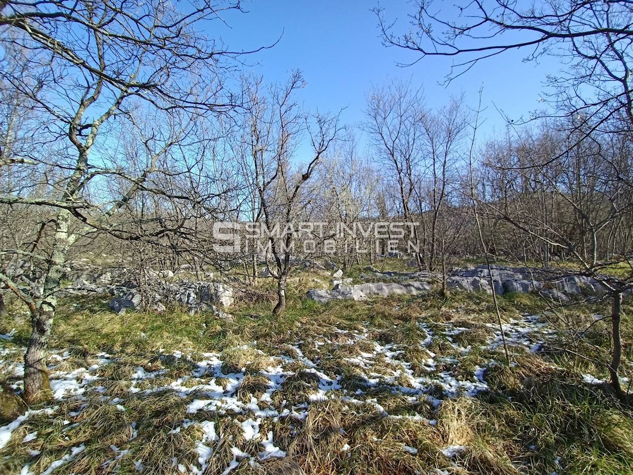 Land For sale - ISTARSKA  LUPOGLAV 