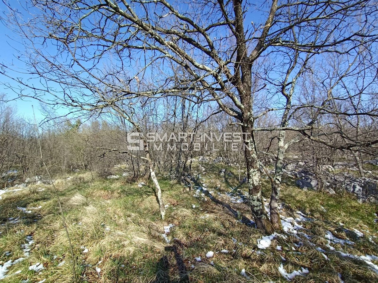 Land For sale - ISTARSKA  LUPOGLAV 