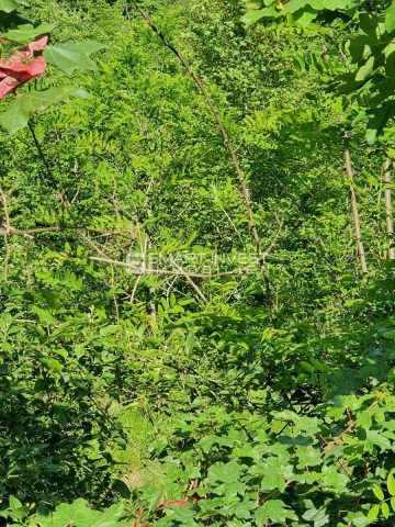 Land For sale - Primorsko-goranska Matulji - foto 2/5