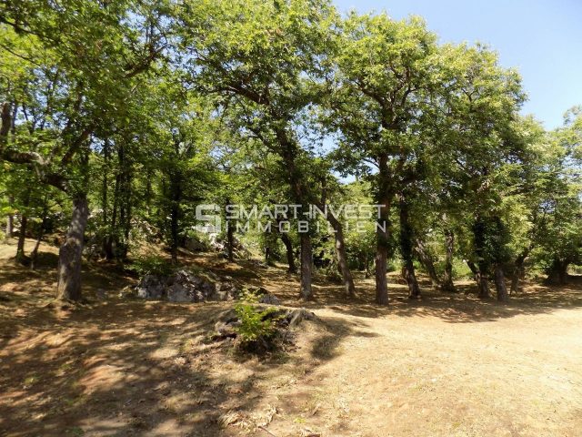 Terreno In vendita - Primorsko-goranska Lovran - foto 4/5