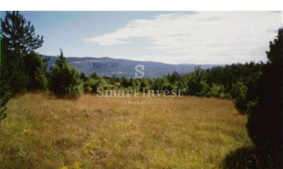 Land For sale - ISTARSKA  BUZET 