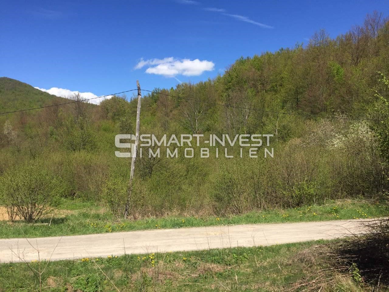 Land For sale - KARLOVAČKA  OGULIN 